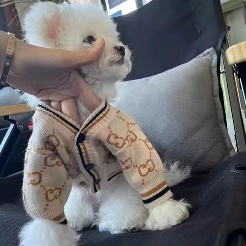 Осенняя одежда для собак, осень и зимний свитер Шерри Фасун Тедди Бомебавид Кот Маленькая собачья одежда