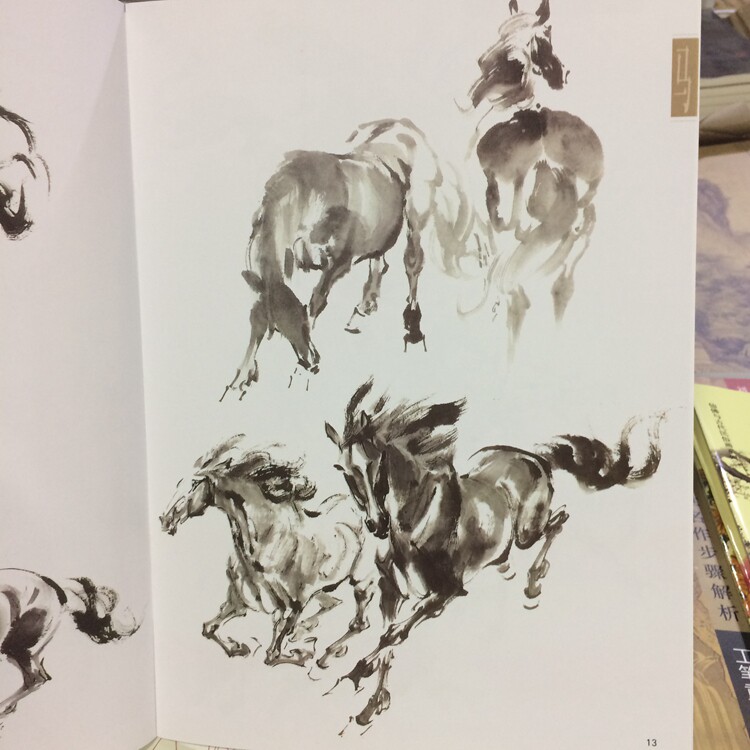 初学画马,一步一步学画马,儿童简笔画马(第10页)_大山谷图库