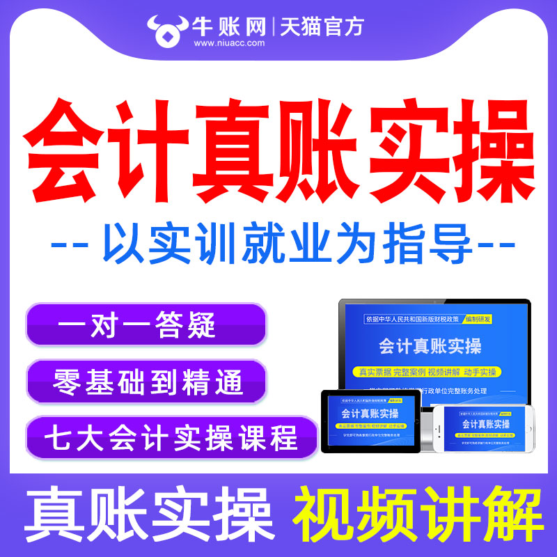 会计实务做账教程手工做帐实训网课视频实操出纳初级报税教学外账-图1