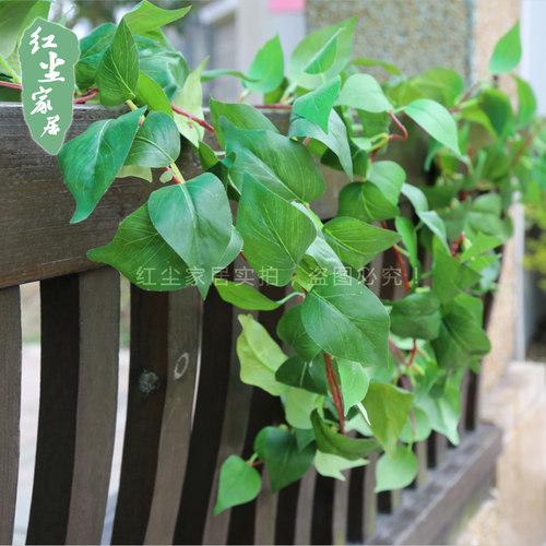 仿真绿植藤条常青藤吊顶装饰花藤墙面管道爬藤植物空调管藤蔓树叶 - 图2