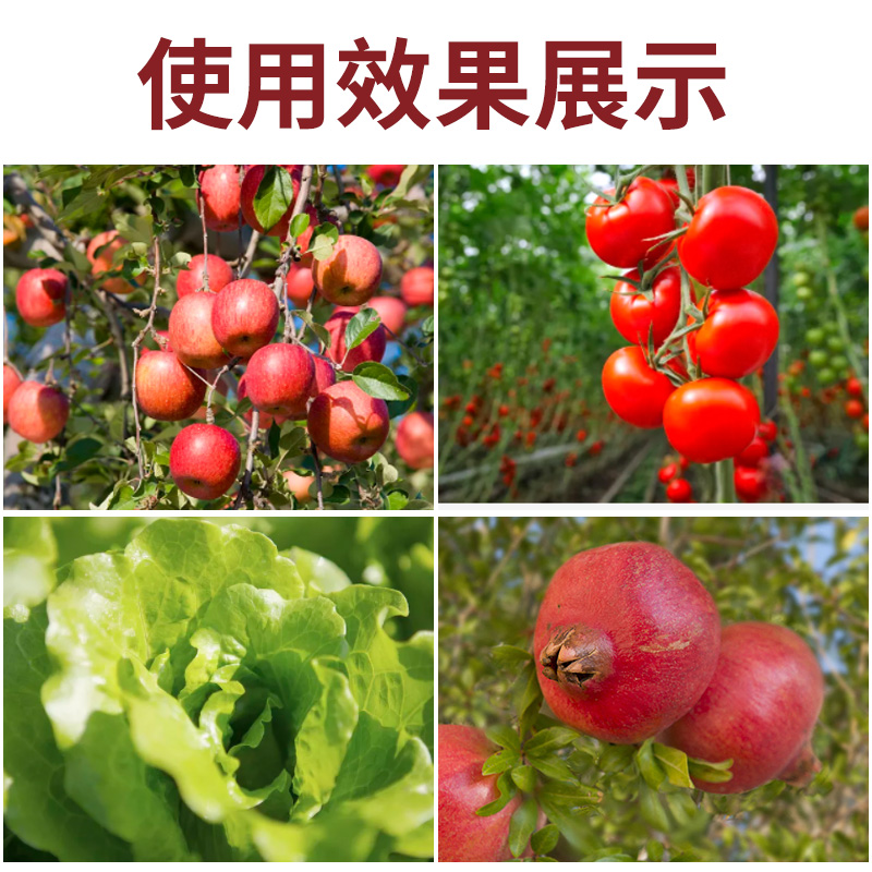 【官方正品】授粉坐果精受粉果树保花保果防落果提高催花膨大 - 图1