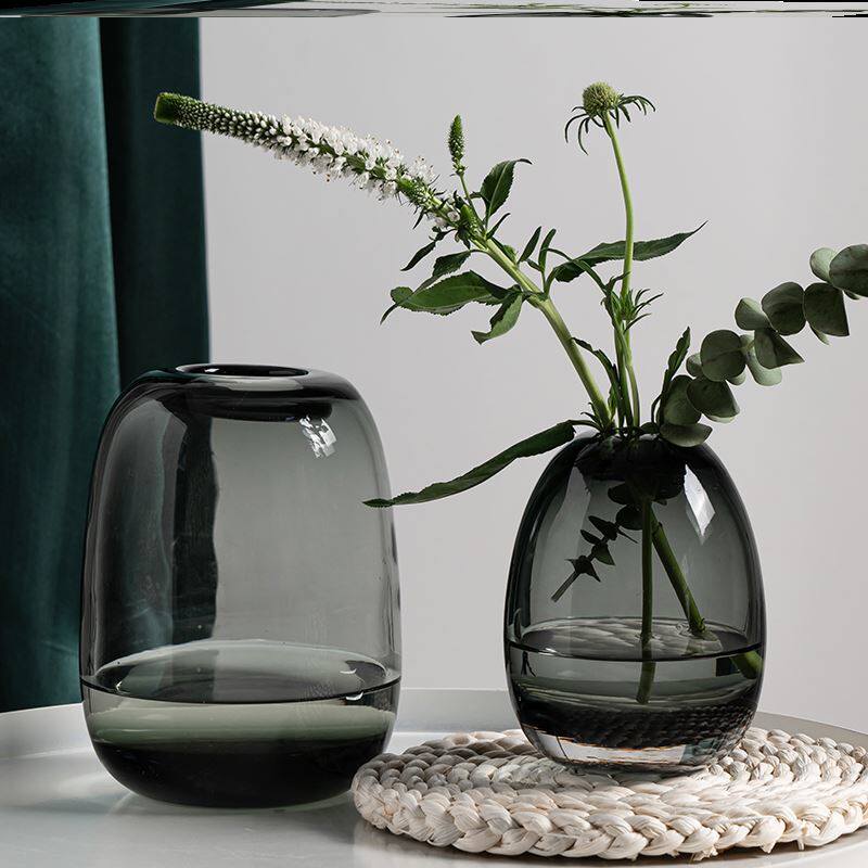 22年最新款玻璃花瓶圆肚大肚子北约简约摆件客厅插花电视柜两边的