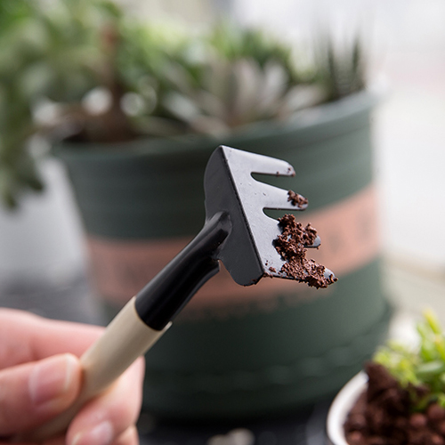 家用多肉植物园艺松土工具套装盆栽种花铲子花锹耙子三件套小铁铲