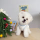 Puppy clothes, autumn and winter warm and cute dachshund Bichon Pomeranian Teddy pet cat coral velvet vest