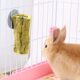 Teething papaya mound rabbit chinchilla guinea pig rabbit molar stick snack drying papaya tree mound papaya silk toy