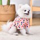 Cute thin summer clothes for dogs and cats to prevent hair loss