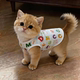 Cat Clothes Summer Vest Thin Anti-Shedding Blue Cat British Short Ragdoll Pet Dog Cool Breathable Sunscreen Shirt