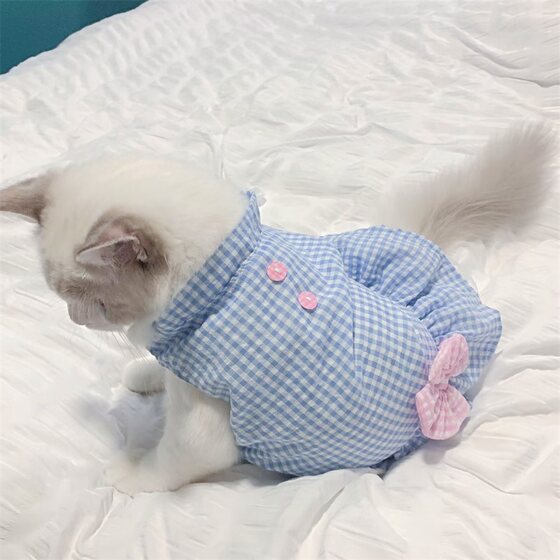 Spring and summer thin cat clothes cute skirt Ragdoll Chinchilla blue and white pet dog summer lace princess dress