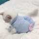 Spring and summer thin cat clothes cute skirt Ragdoll Chinchilla blue and white pet dog summer lace princess dress