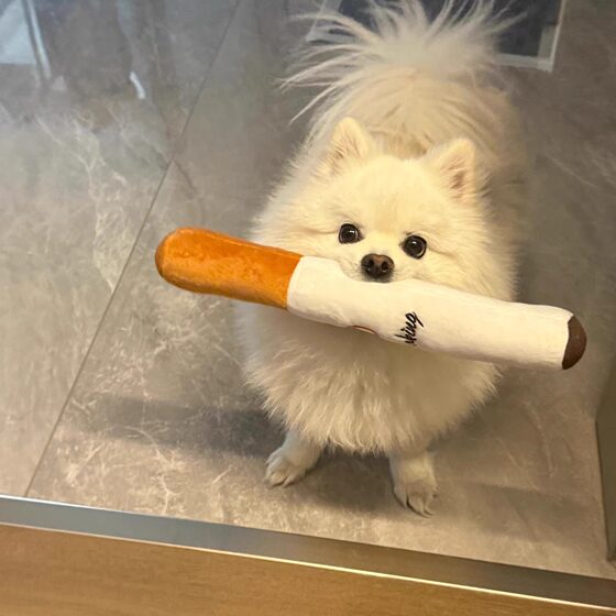 Dog plush toy simulated cigarette self-pleasure to relieve boredom, teeth grinding and bite-resistant stick puppy golden retriever small, medium and large dog toy