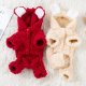 Autumn and winter warm clothes for dogs and cats