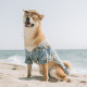 Summer French Dou Autumn and Winter Shirts Cat and Dog Clothes