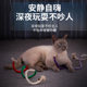 Cat toy cat bite rope silent molar stick small kitten self-pleasure and boredom relief artifact bite-resistant cat tea stick mint stick