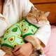 Cat clothes summer lightweight breathable four-legged clothes cute cartoon vest ragdoll British short dog cool sun protection shirt
