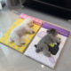 Pet ice mat, summer cooling mat, cat sleeping mat, dog mat, cat kennel, kennel, waterproof dog mat, suitable for all seasons