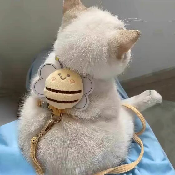 Cat leash, special for walking cats, anti-breakaway, special pet dog and kitten chain, cute harness