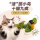 Cat toy, simulated bird, making sounds, self-entertaining, relieving boredom, cat teasing stick, consuming energy, kitten teeth grinding, cat supplies