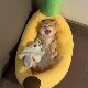 Dog kennel for all seasons, removable and washable large and small dog mats, pet bed, winter warm cat kennel, cartoon banana boat