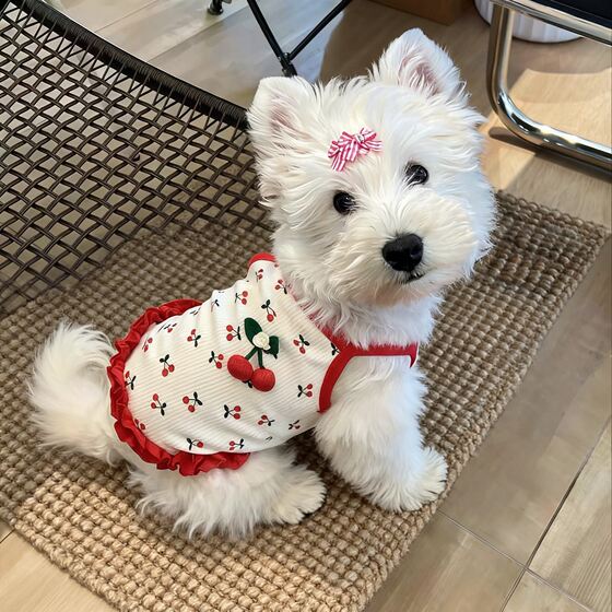 Dog clothes summer thin suspender floral skirt Bichon West Highland small dog pet cat vest anti-shedding