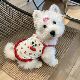 Dog clothes summer thin suspender floral skirt Bichon West Highland small dog pet cat vest anti-shedding