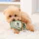 Pet toy making noise paper dollar shape dog and cat toy amusing and relieving boredom interactive toy