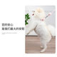Dog leash for outdoor dog walking, non-restraining and anti-breakaway