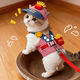 Cat hat with exposed ears, summer sun protection sun hat, gold gradient ragdoll, cat and dog leash, pet clothes