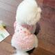 Pet Dog Clothes Spring and Summer Mesh Princess Dress Cat Bichon Teddy Small Dog Floral Puff Dress