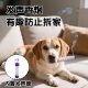 Pet dog vocal toy, simulated plush cigarette box, teeth grinding, chewing, hiding food, sniffing, Teddy French Dou, Golden Retriever