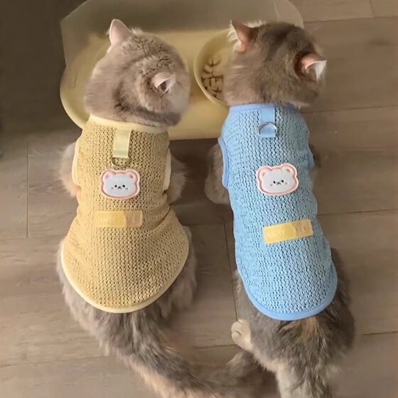 Spring and summer pet cat clothes thin vest that can be used to pull puppets when going out, gold gradient anti-shedding dog breathable