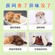 Pet-specific natural incense indoor cat air freshener cat and dog urine deodorant to remove cat and dog odors