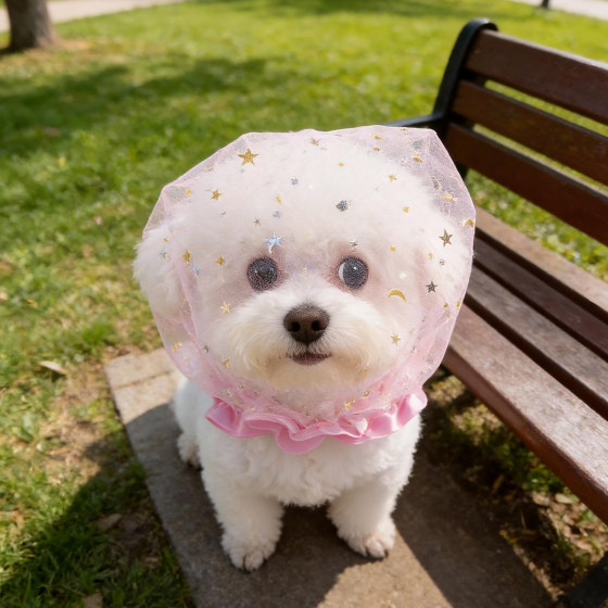 Dog mesh hood, anti-biting, anti-eating mask, breathable small dog muzzle, anti-accidental eating and anti-anxiety artifact
