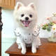 Dog clothes summer cute princess style dress Bichon Pomeranian pet cat breathable bow tutu skirt