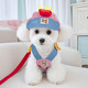 Dog Hat Summer Pet Traction Harness Set Teddy Bichon Small Dog Cat Cute Sun Protection Sun Hat