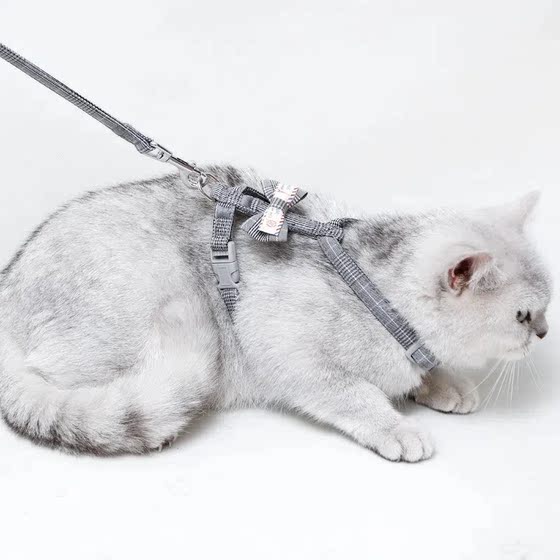 Cat leash and dog leash to prevent break-away when going out