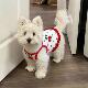Dog clothes summer thin suspender floral skirt Bichon West Highland small dog pet cat vest anti-shedding