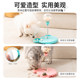 Pet toy ball is a self-pleasure and boredom relief artifact