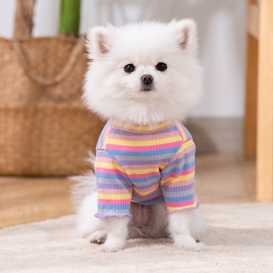 Cute spring and summer rainbow clothes for cats and dogs