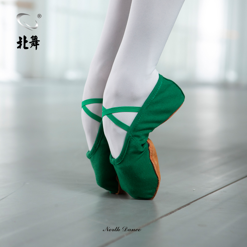北舞绿色成人舞蹈鞋女软底练功形体猫爪跳舞大底肚皮民族芭蕾舞鞋-图0