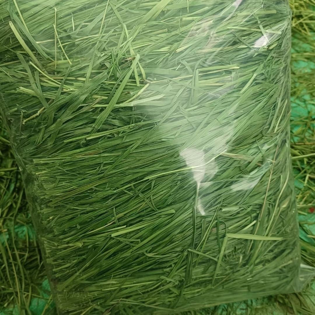 精选烘干多叶提摩西草兔兔荷兰猪龙猫干草牧草兔粮,淘宝优惠券,粉丝福利购,淘宝优惠卷