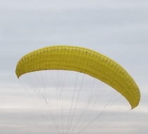 Power umbrella pure power small yellow umbrella