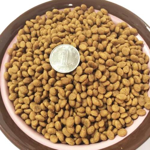 包邮光环国际super ACE猫粮 18磅成猫粮鱼肉味/鸡肉味 - 图3