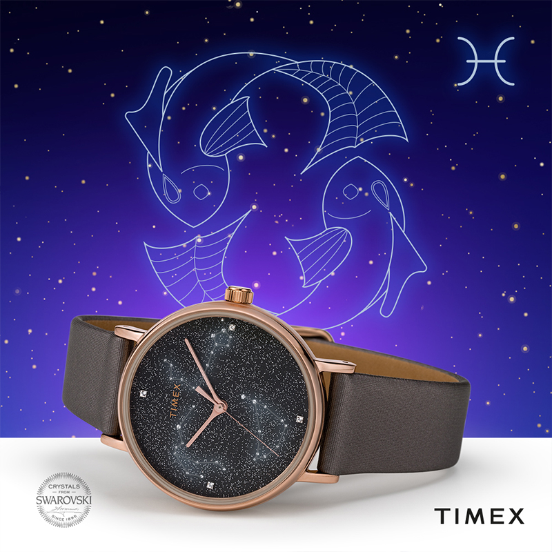 TIMEX/天美时手表女简约时尚个性潮流经典女表欧美腕表TW2T87700