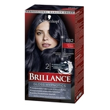 Пятно за считанные секунды, Германия Schwarn Phantom Brillans