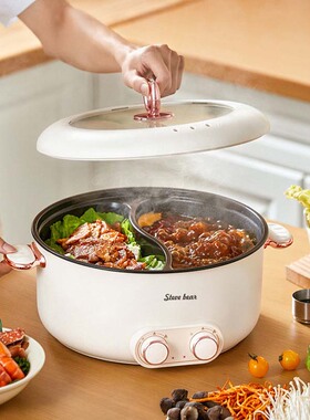 Dual-ZoneElectricHotPot