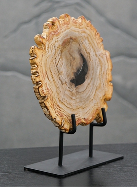 天然木化石切片摆件入户装饰品办公室桌面博古架艺术摆件开业送礼