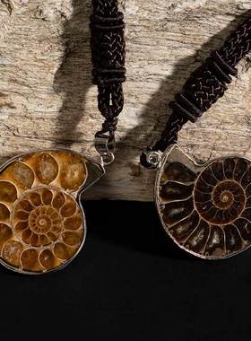 天然菊螺吊坠开片螺菊石