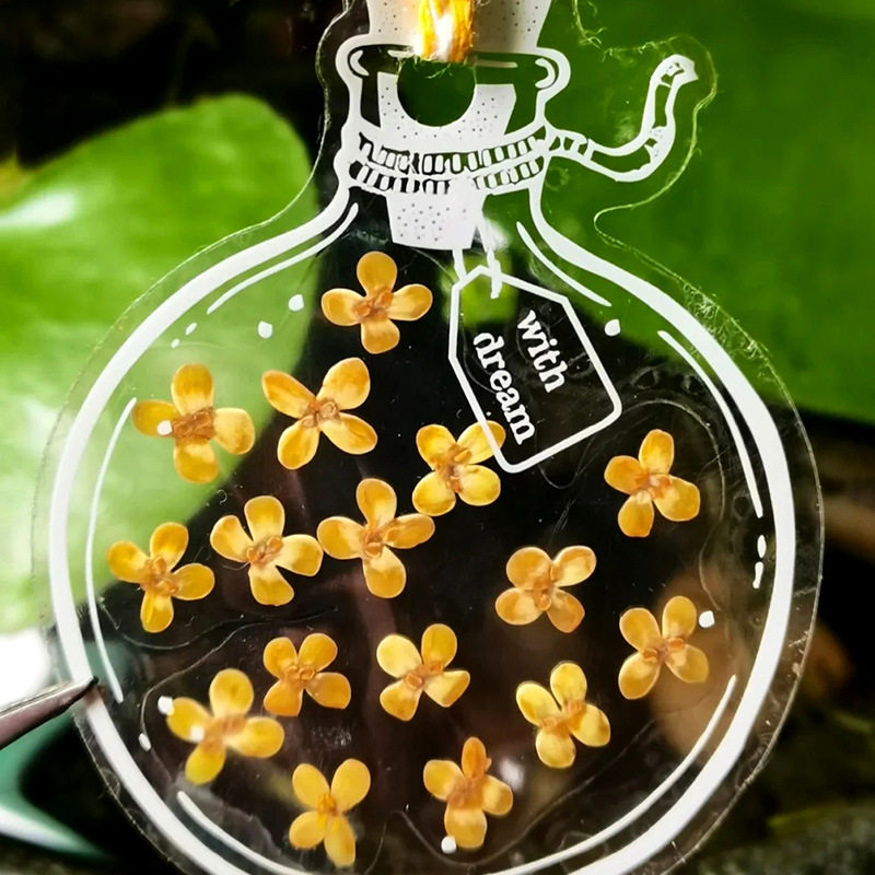 干花书签标本塑封膜瓶子里的春天收集童年枫叶手工diy材料透明树叶粘贴画玻璃制作幼儿园小学生儿童创意贴纸