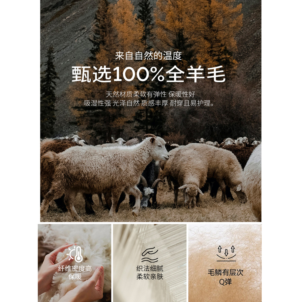 KBNE全羊毛针织衫修身毛衣小个子2025秋季新款气质圆领长袖上衣女,淘宝优惠券,粉丝福利购,淘宝优惠卷