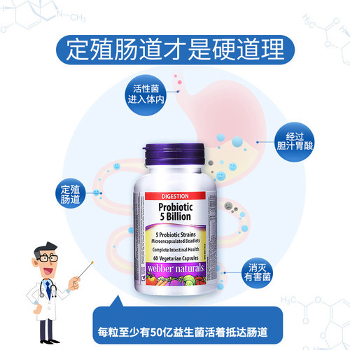 Webber Naturals成人肠道益生菌50亿肠道活性益生菌60粒*2瓶 - 图0